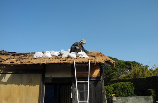 DSCN1574.jpg