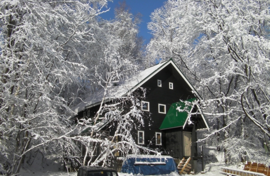 SANY0100.jpg