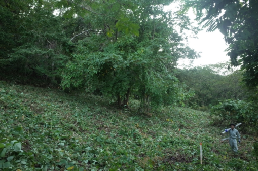 R0000315.JPG