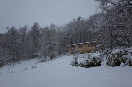 R0000652.JPG